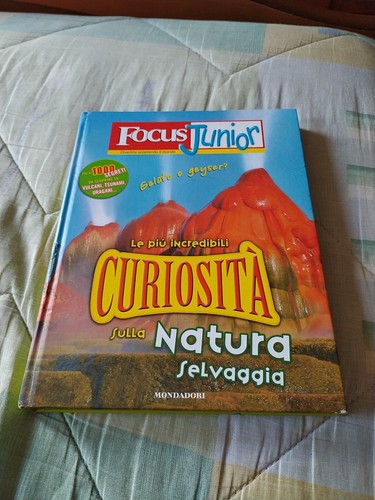 Libro focus junior - libro, le
