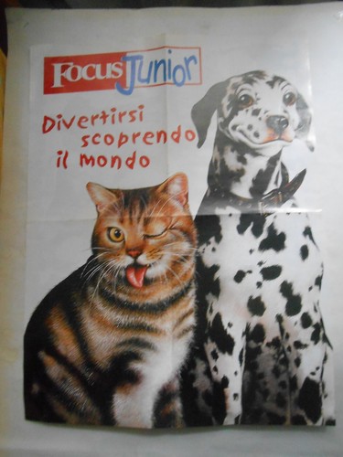 Poster focus junior cane - junior-cane, e