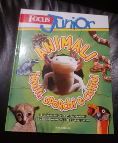 Focus junior animali brutti - focus,