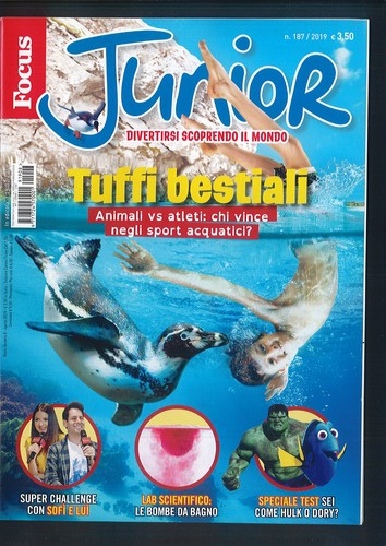 Focus junior 187 del - del, 2019