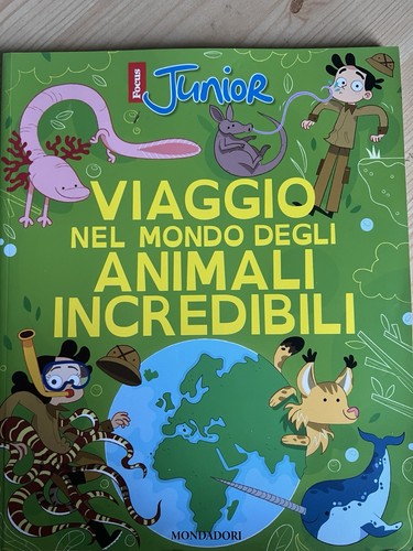 Libri focus junior - i,