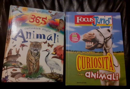 Libri focus junior - 2,
