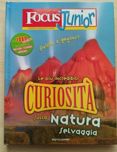Libro focus junior - junior, più